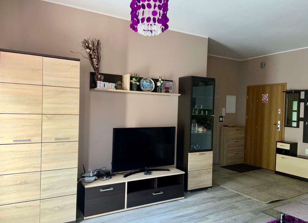 بييلسكو بياوا Sunny Apartment المظهر الخارجي الصورة