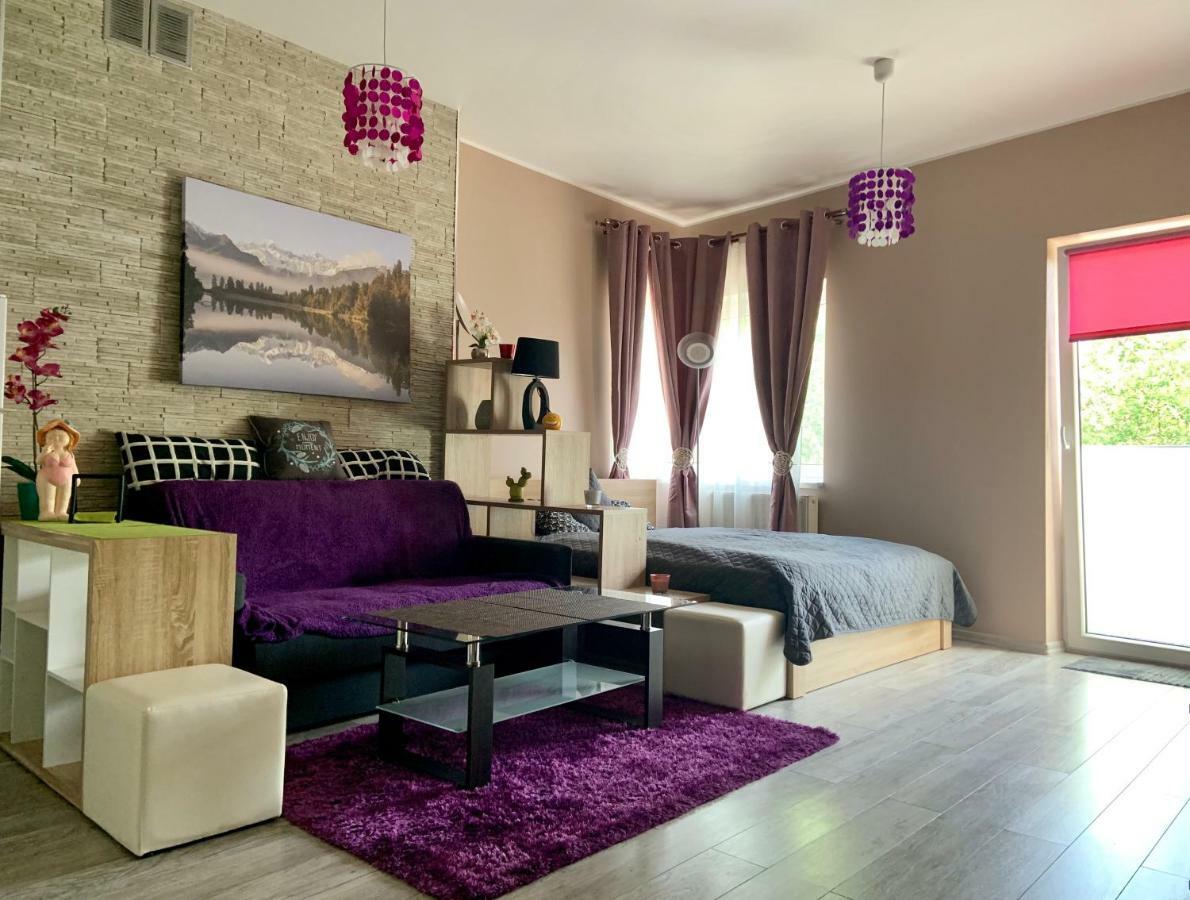 بييلسكو بياوا Sunny Apartment المظهر الخارجي الصورة